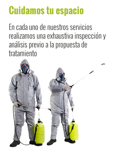 FUMIGACIONES DE PLAGAS, CUCARACHAS, CHINCHES DE CAMA, RATONES FUMIGACIONES DE PLAGAS, CUCARACHAS, CHINCHES DE CAMA, RATONES