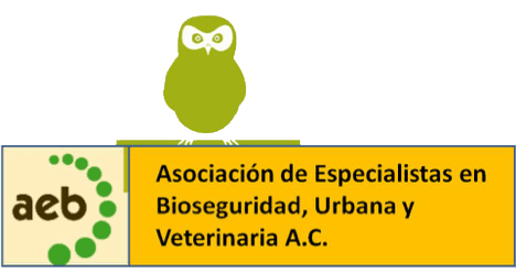 FUMIGACIONES DE PLAGAS, CUCARACHAS, CHINCHES DE CAMA, RATONES