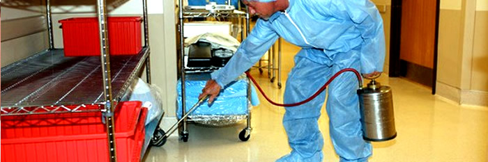 FUMIGACIONES DE PLAGAS, CUCARACHAS, CHINCHES DE CAMA, RATONES FUMIGACIONES DE PLAGAS, CUCARACHAS, CHINCHES DE CAMA, RATONES